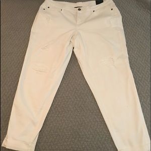 Size 16 Lane Bryant Destructed Boyfriend Jeans